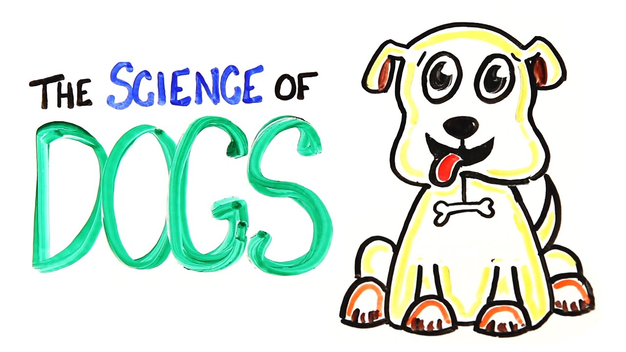 The Science of DOGS 