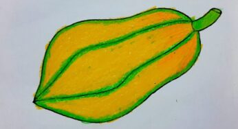 papaya drawing colour ||papaya drawing easy || papaya drawing step by step