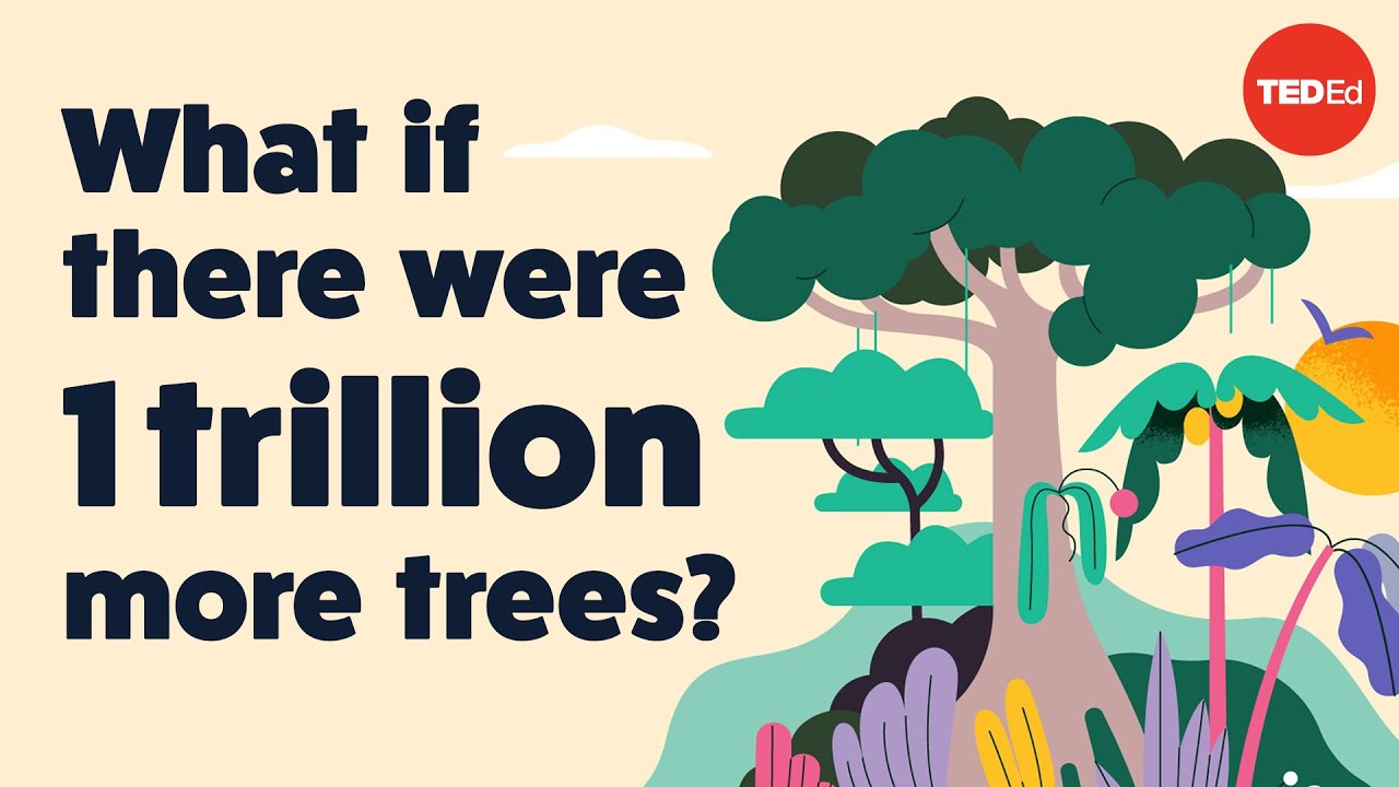 What if there were 1 trillion more trees? - Jean-François Bastin 