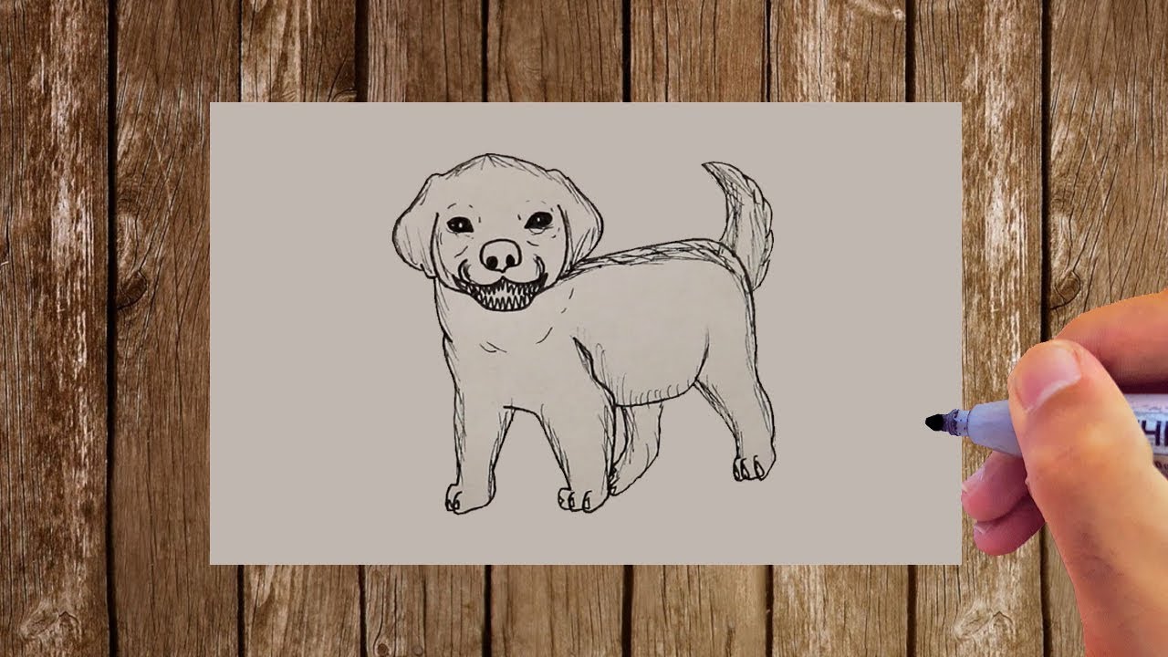 Creepy Dog Drawing Step by Step Easy For Beginners ! 