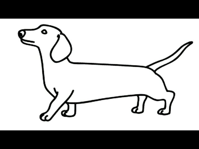 How To Draw Daschund Dog Drawing Painting Animal Cat Easy Drawing Colour Kitten Drawing House Colour
