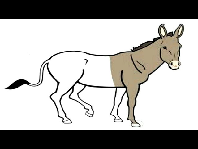 how to draw zebra drawing painting horse drawing unicorn easy drawing colouring house drawing school 