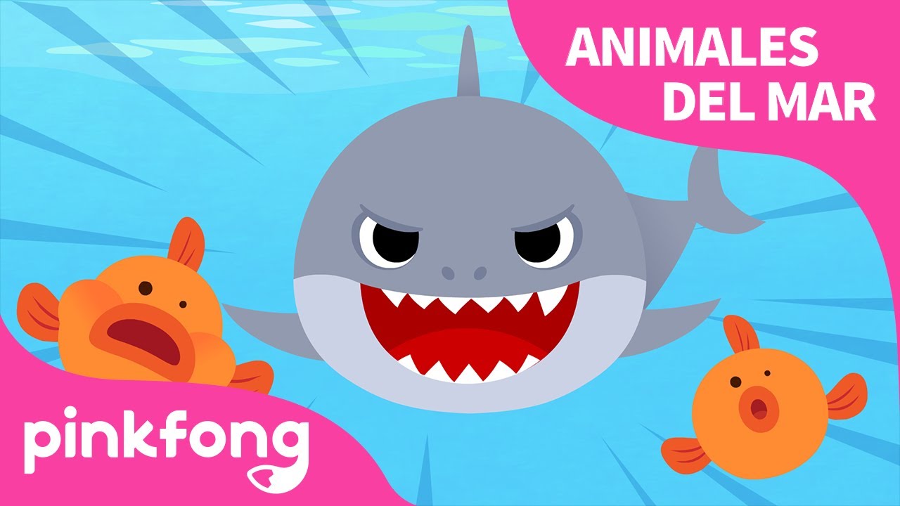 Tiburón | Animales del Mar | Animales para niños | Pinkfong Canciones Infantiles 