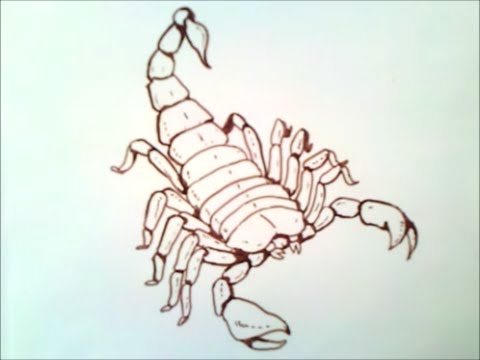come disegnare uno scorpione | come disegnare uno scorpione passo a passo 