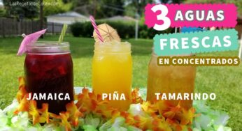 3 Recetas de Aguas Frescas – jamaica – piña – tamarindo ❤ Agua Fresca Recipe
