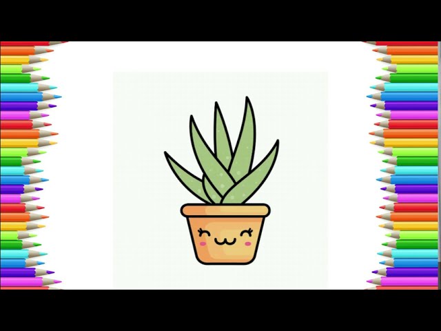 How to Draw Aloe Vera - Cute Flower and Plant Easy Drawing Lesson 