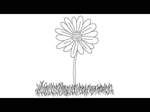 How to draw a Daisy - Easy step-by-step drawing lessons for kids 