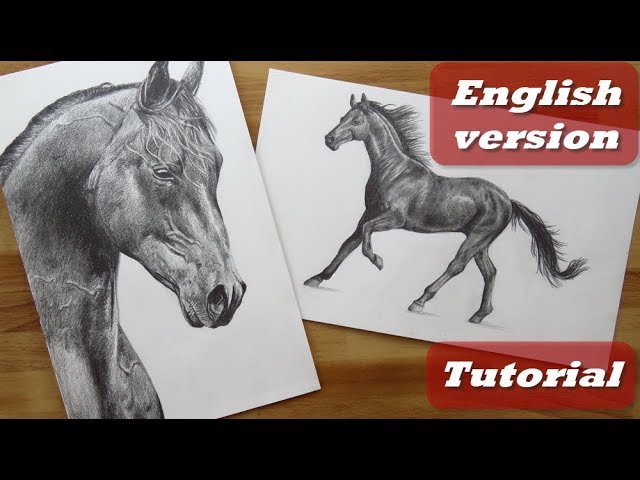 How to draw a Horse EASY step by step 