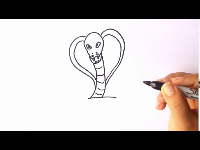 ¿Cómo dibujar una Cobra? - Dibujo de una Cobra 