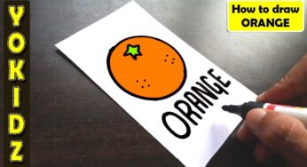 HOW TO DRAW ORANGE FOR KIDS