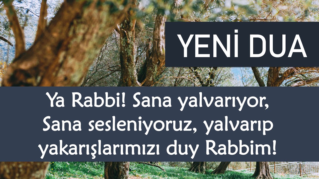 YENİ DUA - Ya Rabbi! Sana yalvarıyor, Sana sesleniyoruz, yalvarıp yakarışlarımızı duy Rabbim! 