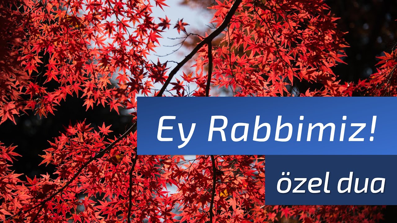 Ey Rabbimiz! Özel Dua - Rabbimiz, bizi,senin sevdiğin ve hoşnut olduğun şeyleri yapmaya nail eyle 