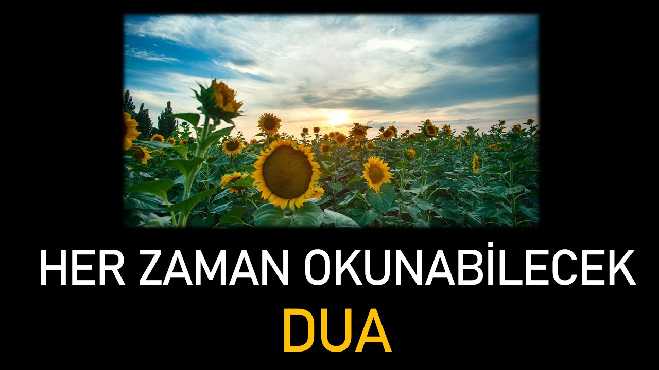 HER ZAMAN OKUNABİLECEK DUA - Allah'ım! Bizi Dünya ve Ahiretin Afetlerinden Koru! 