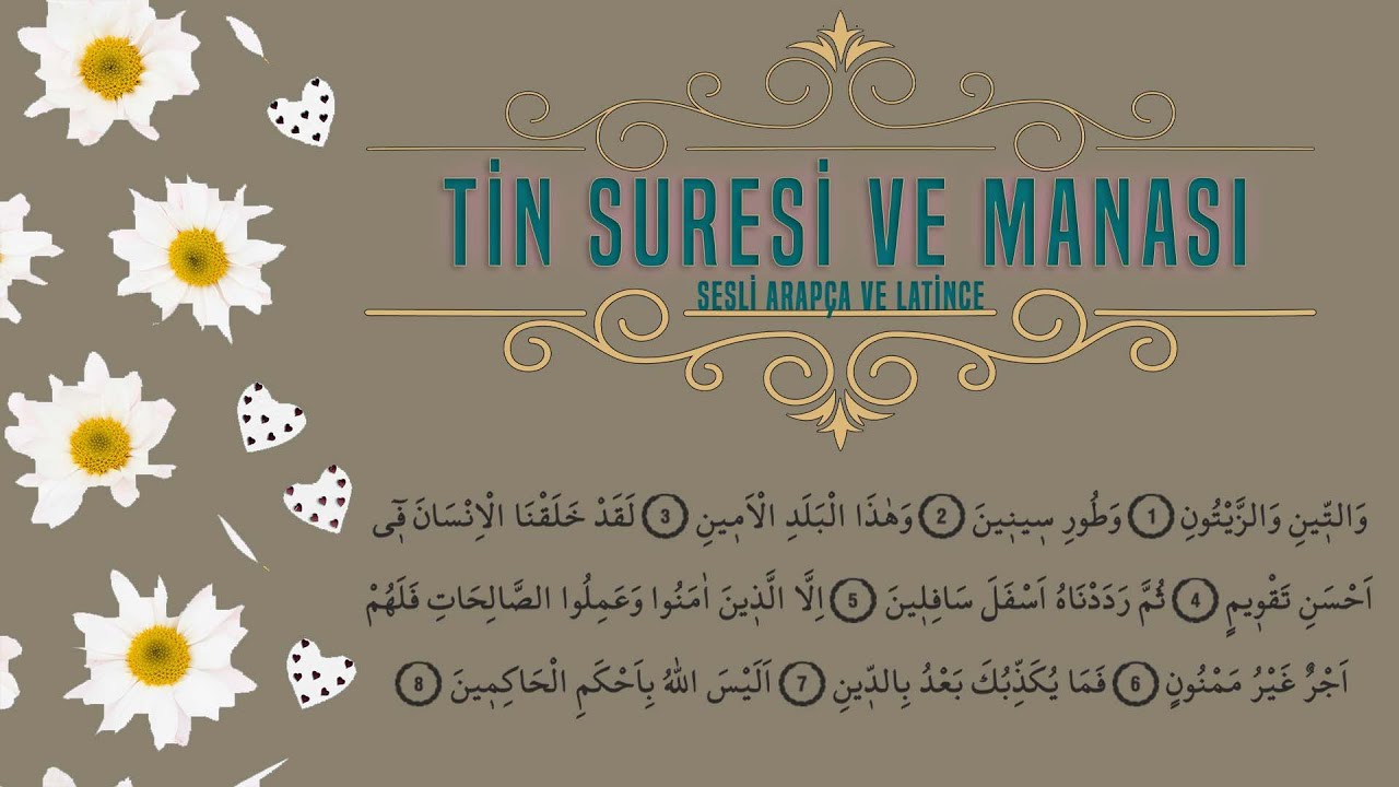 Tin Suresi Ve Manası ? 