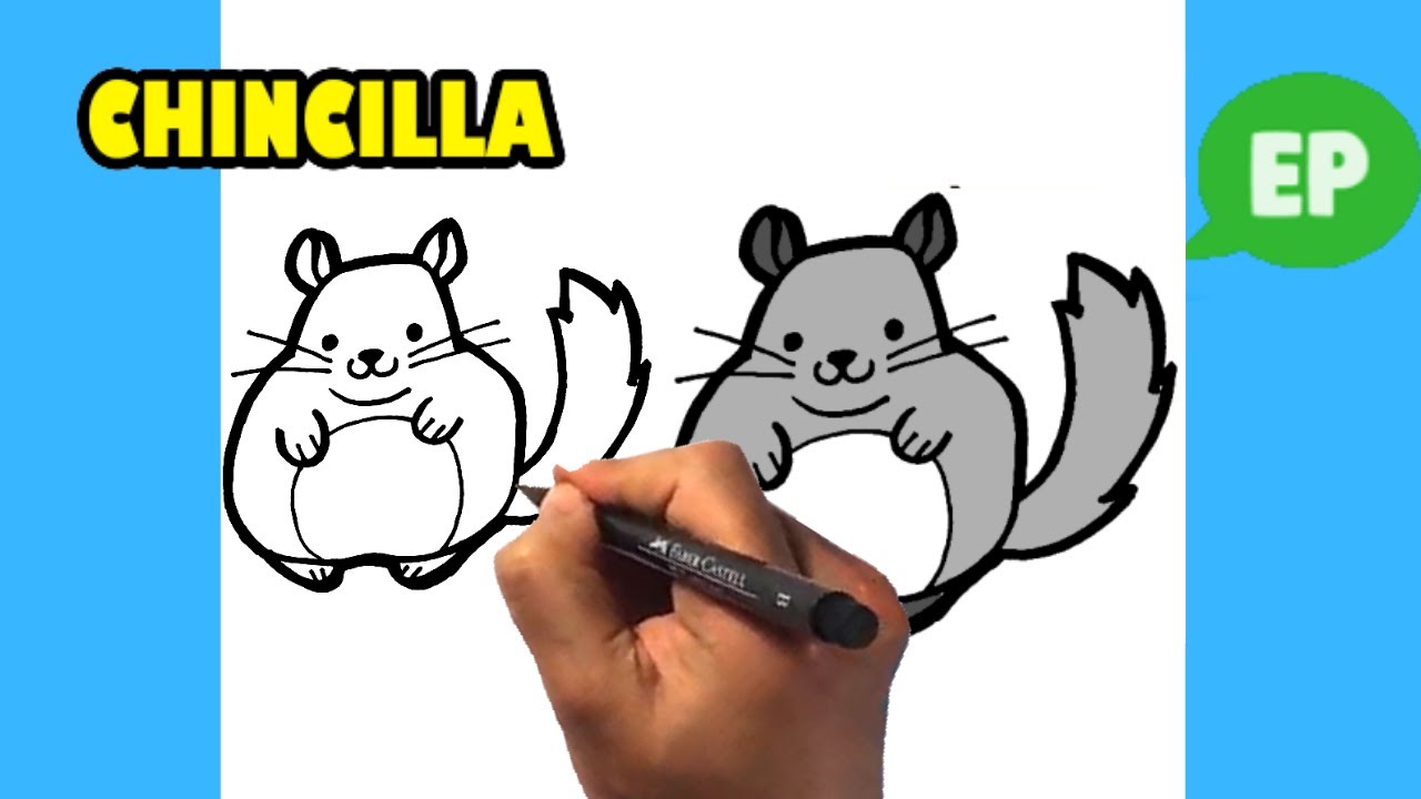 How to Draw a Chinchilla - Cute Animals - Easy Pictures to Draw 1