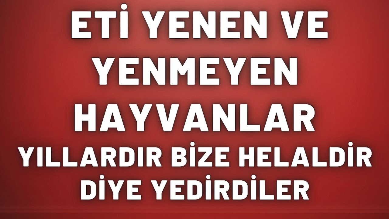 ETİ YENEN VE YENMEYEN HAYVANLAR YILLARDIR BİZLERE HELALDİR DİYE YEDİRDİLER 