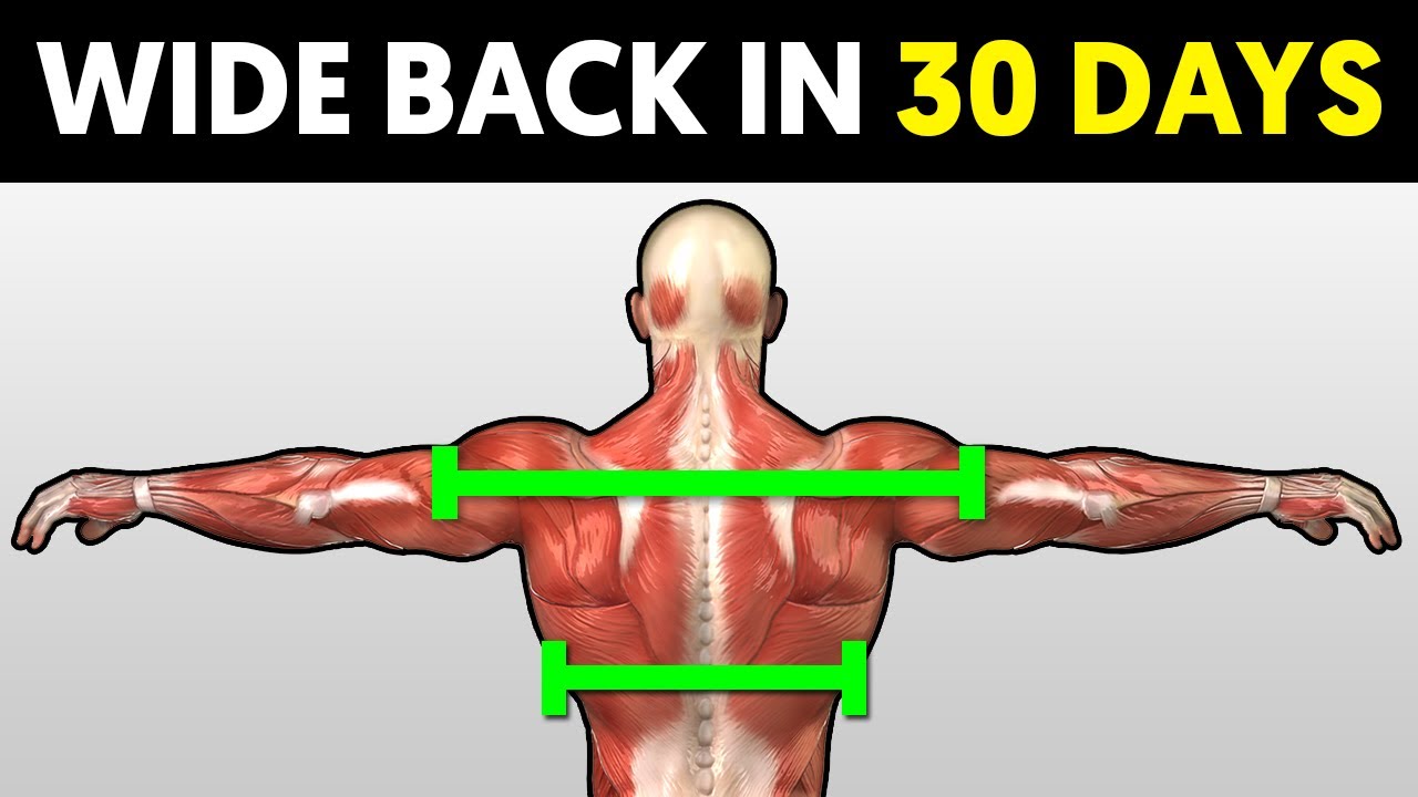 How To Get a Wider Back in 30 Days 