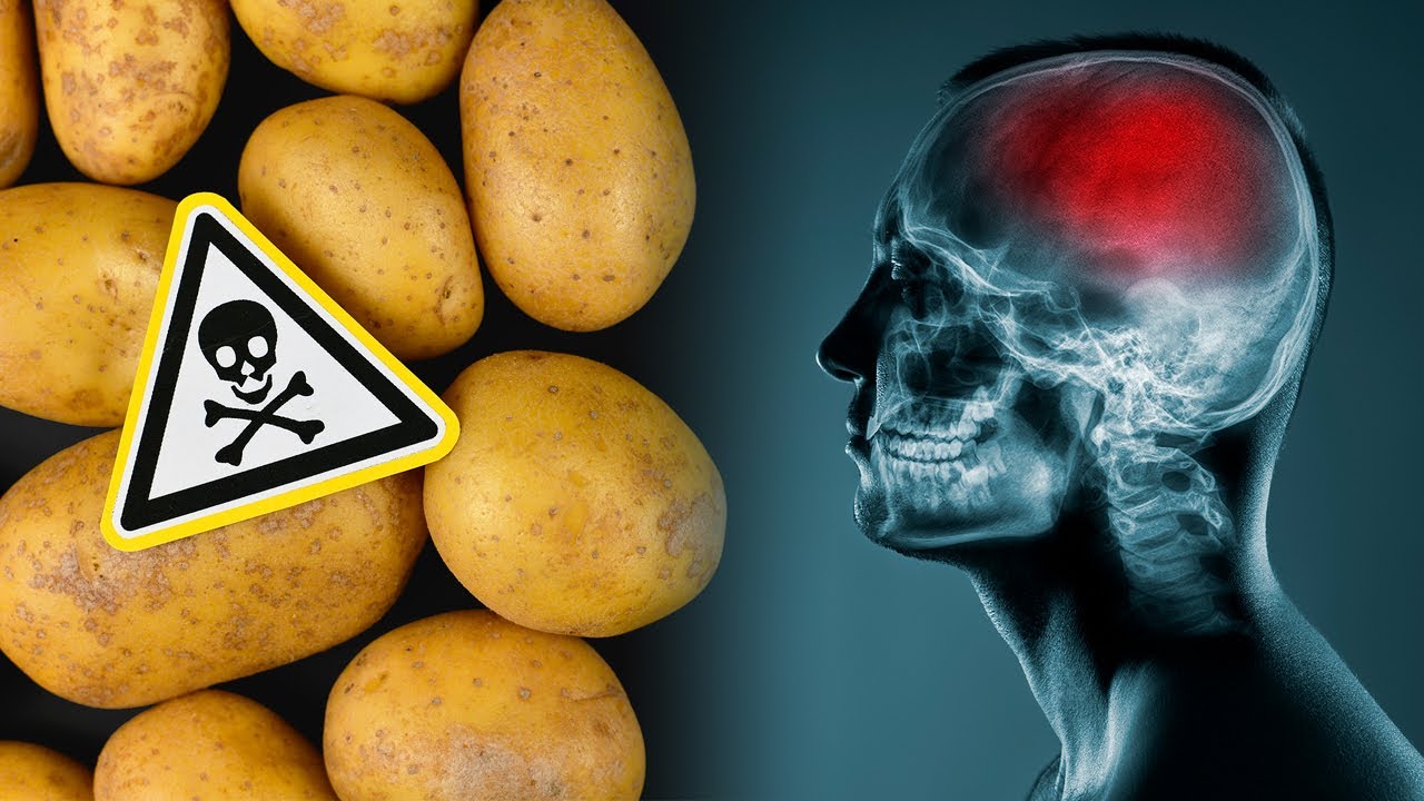 These Foods Bring Your Brain Down Without You Knowing 