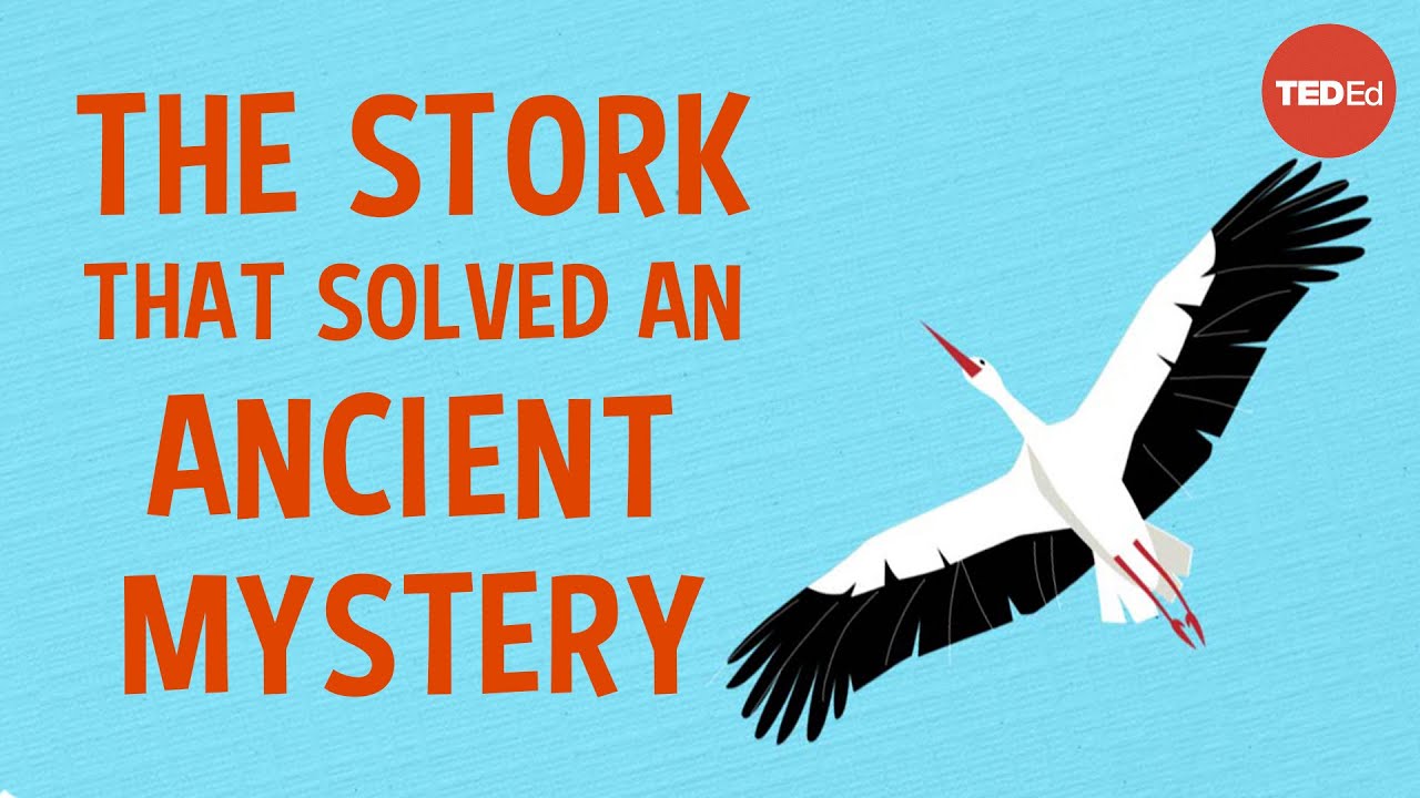 The spear-wielding stork who revolutionized science - Lucy Cooke 