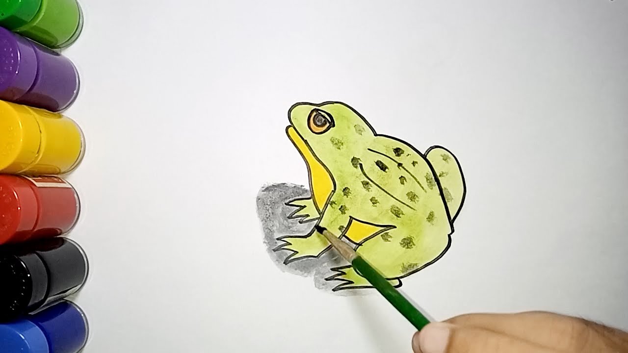 How To Draw Frog Easy Step By Step | Cara menggambar katak untuk pemula 