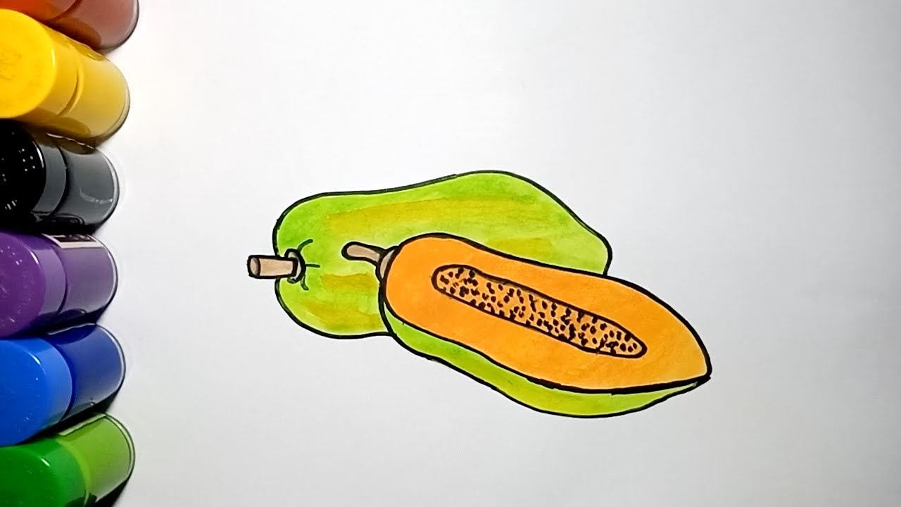 Cara Mudah Menggambar Buah Pepaya | How to draw papaya easy for beginners 