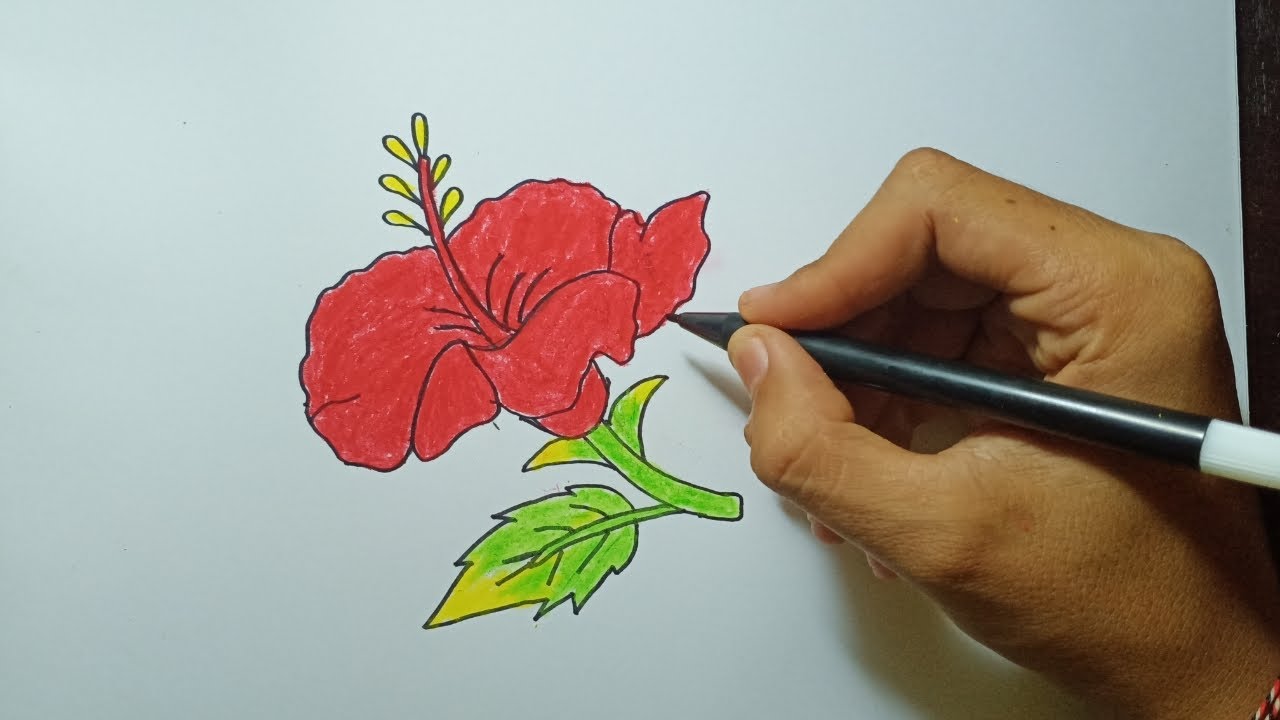 cara menggambar bunga sepatu 