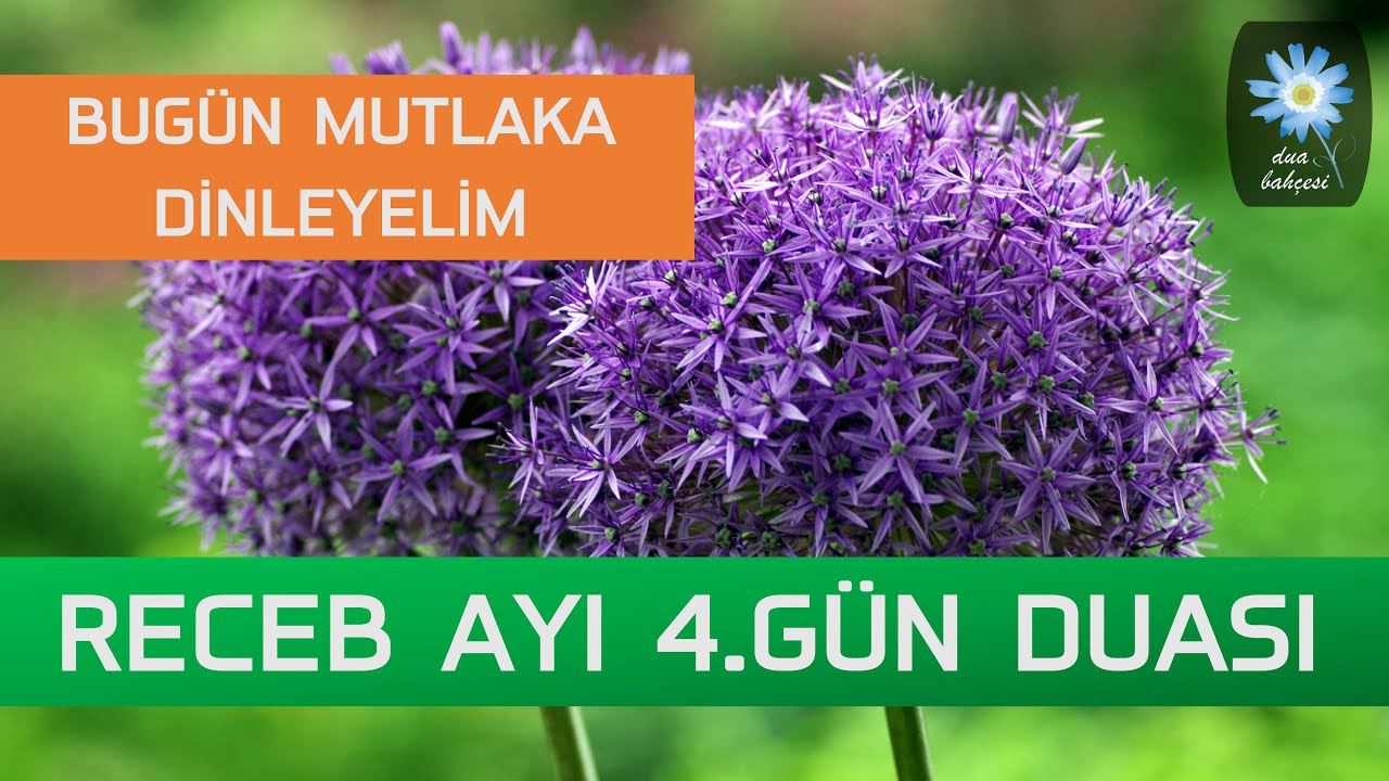 Receb Ayı Duası 4 - Bu Mübarek Receb Ayı Hürmetine, Dualarımızı Kabul Eyle Ya Rabbi! 