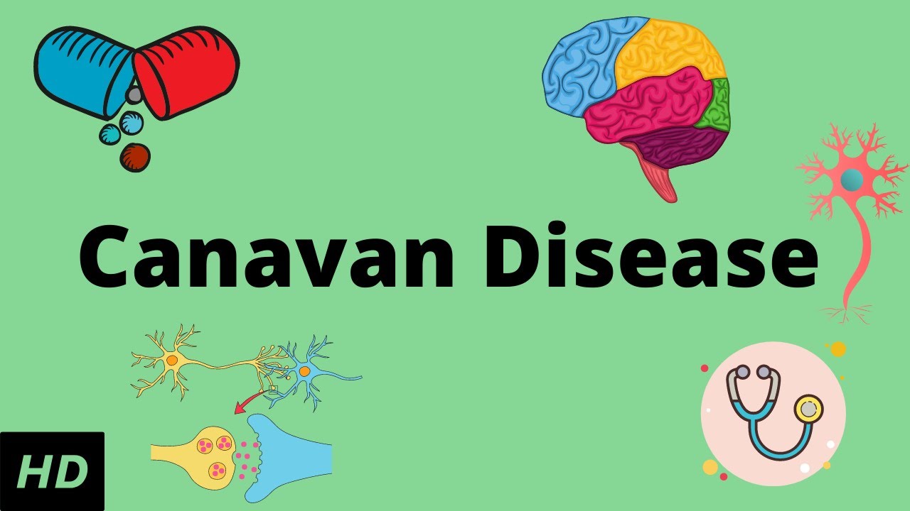 Canavan disease, Causes, Signs and Symptoms, Diagnosis and Treatment. 