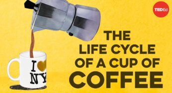 The life cycle of a cup of coffee – A.J. Jacobs