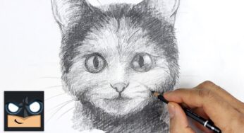 How To Draw a Cat | Sketch Saturday