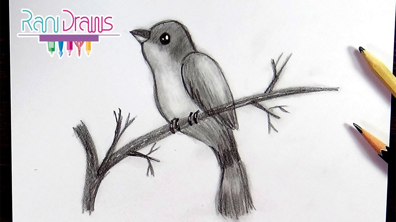 Cómo dibujar un AVE con LÁPIZ - How to draw a BIRD with PENCIL 