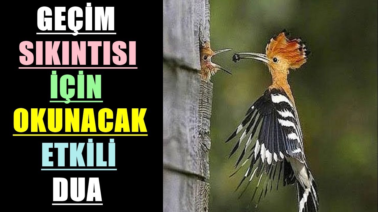 GEÇİM SIKINTISI İÇİN OKUNACAK ETKİLİ DUA 