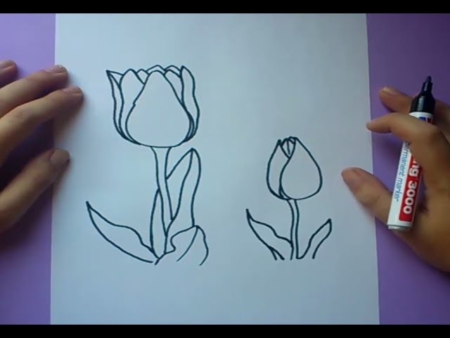 Como dibujar una flor paso a paso 7 | How to draw a flower 7 