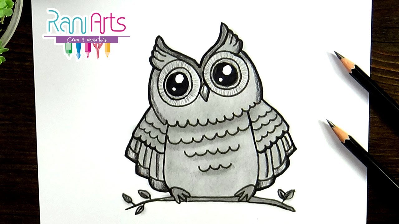 Cómo dibujar un BÚHO con lápiz – How to draw an OWL with pencil