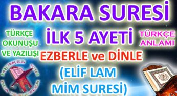 Elif Lam Mim Suresi ezberleme Bakara suresi ilk 5 ayeti ezberle Elif lam mim dinle ve anlamı