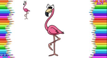 How to Draw Flamingo of Animal Cartoon Character Easy Drawing Tutorial