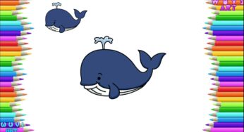 How to Draw Blue Whale of Animal Cartoon Character Easy Drawing Tutorial