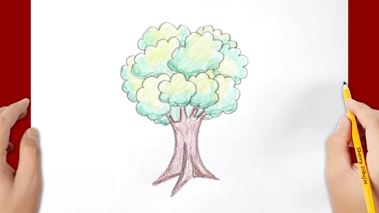 Cómo dibujar un árbol | Dibujo de un árbol