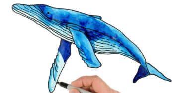 How to Draw Blue Whale | Watercolor Painting Techniques