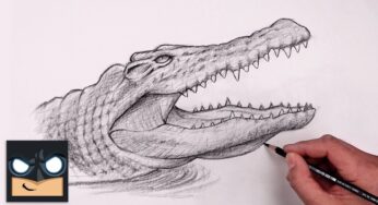 How To Draw Crocodile | YouTube Studio Sketch Tutorial