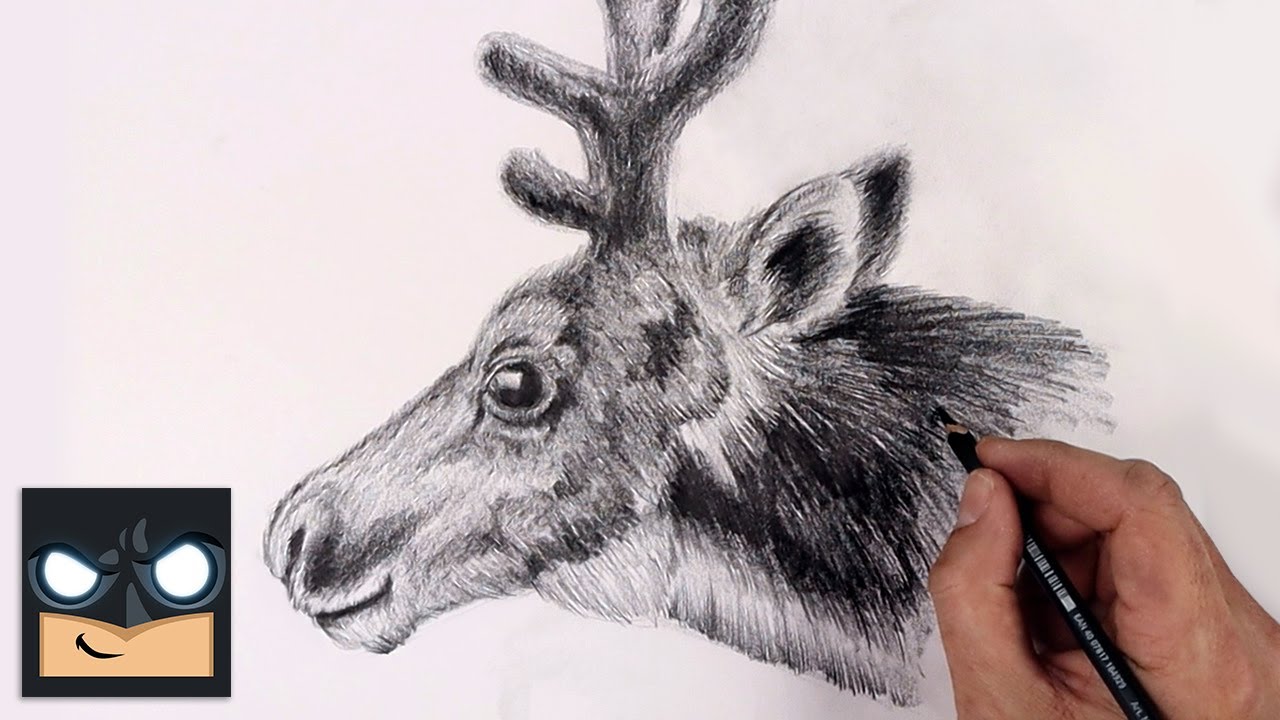 How To Draw Reindeer | Sketch Tutorial
