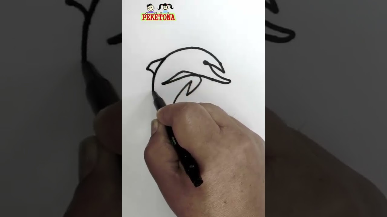 Delfin dibujo facil by peketona