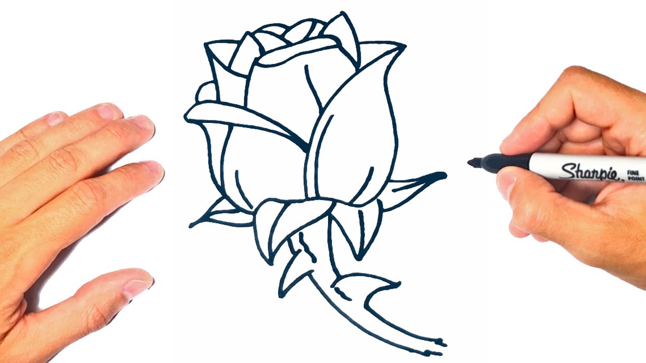 Cómo DIBUJAR una ROSA | Dibujo Fácil de ROSA